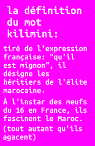La définition du mot kilimini